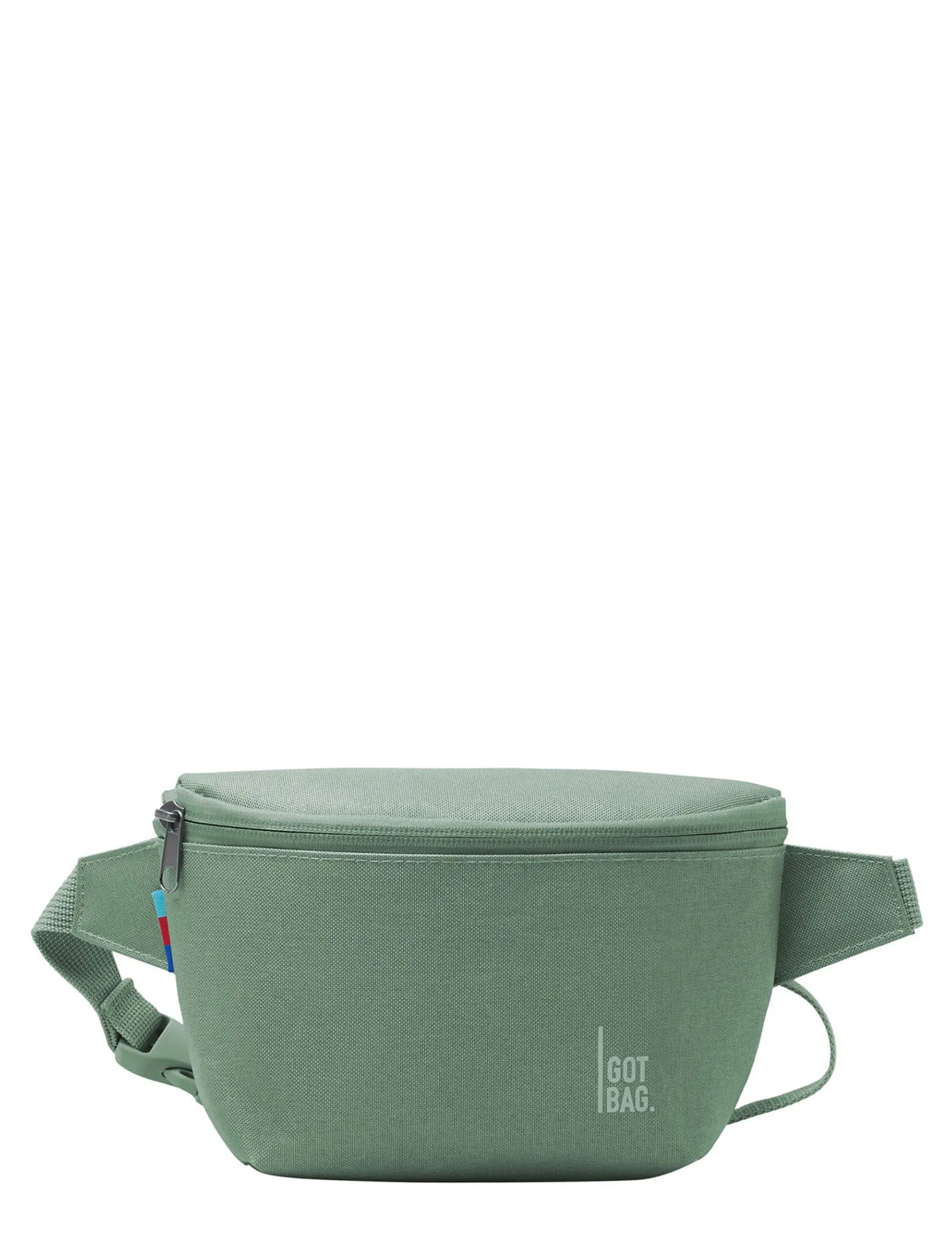 Got Bag Hip Bag Reef