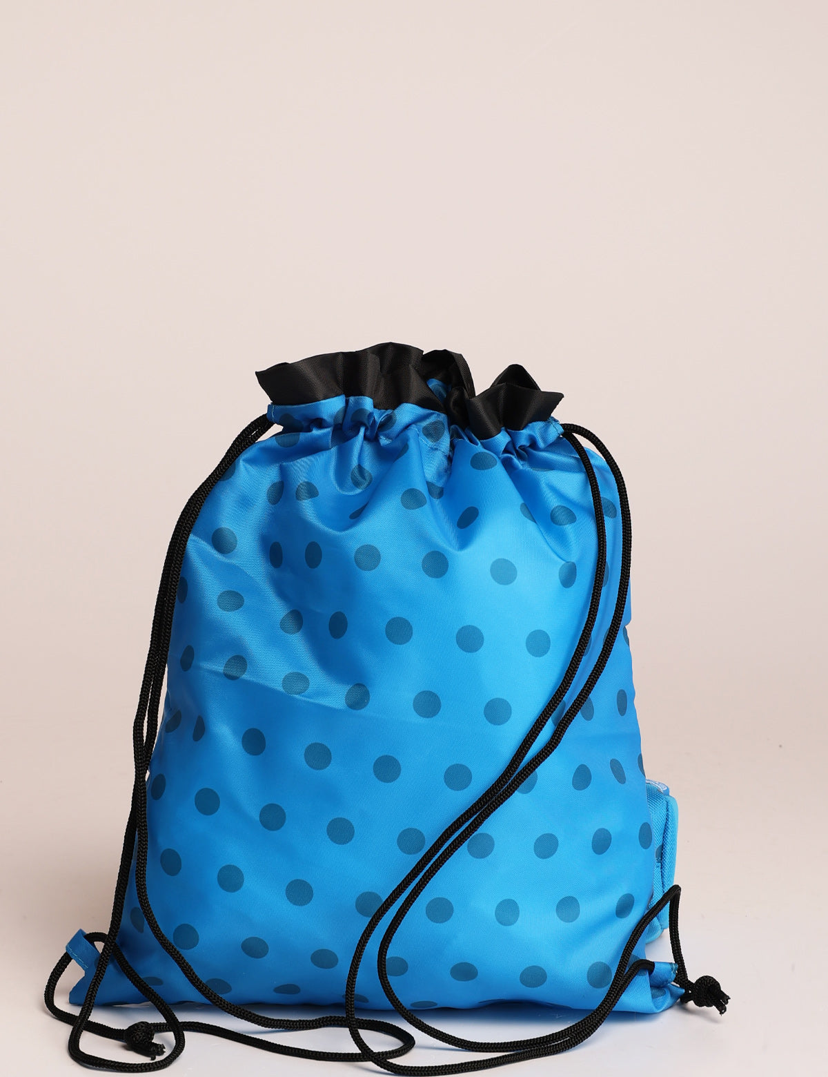 Roncato Looney Tunes shoe bag