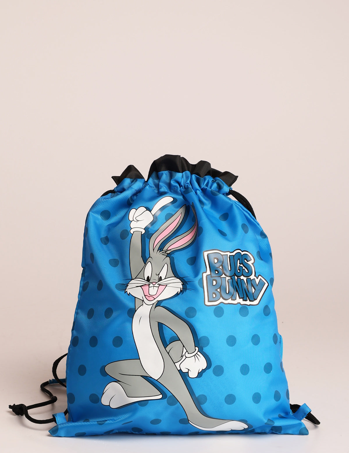 Roncato Looney Tunes shoe bag