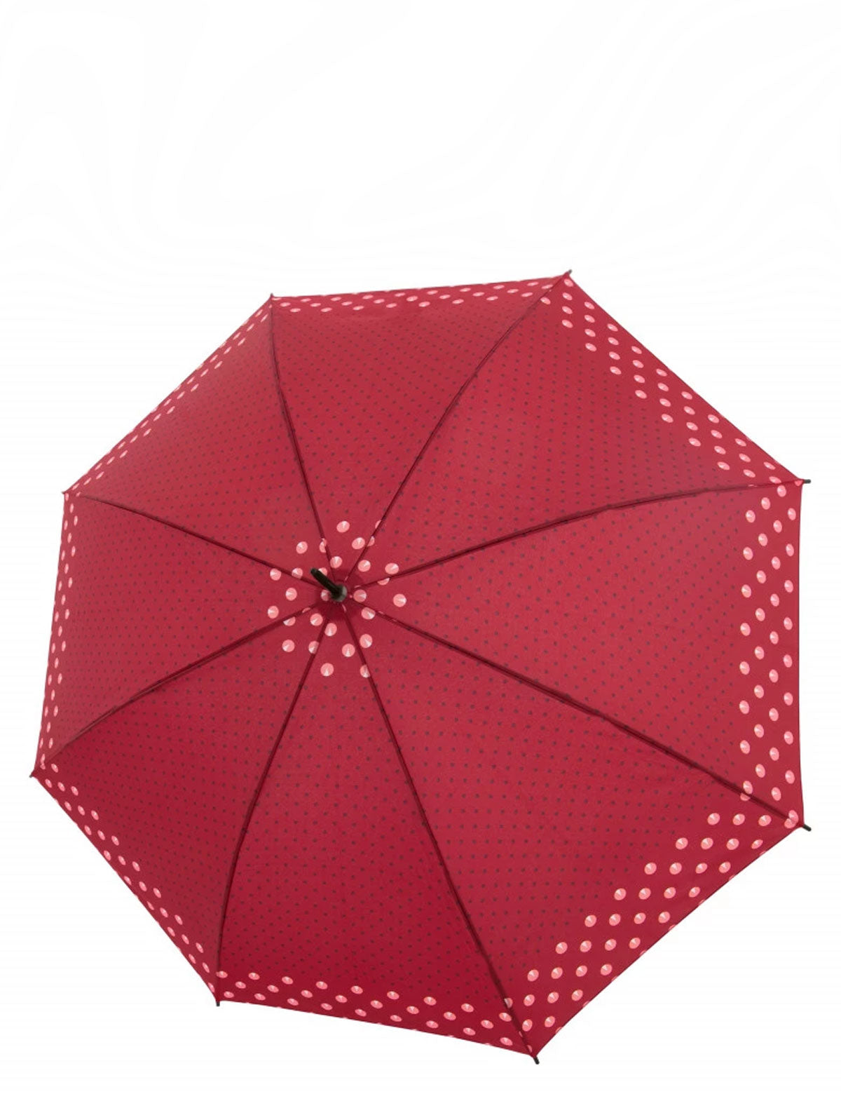 Long umbrella Derby Hit Long AC Twinkle Red