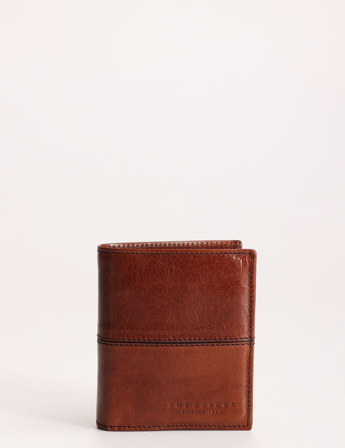 The Bridge Vespucci Vertical Wallet